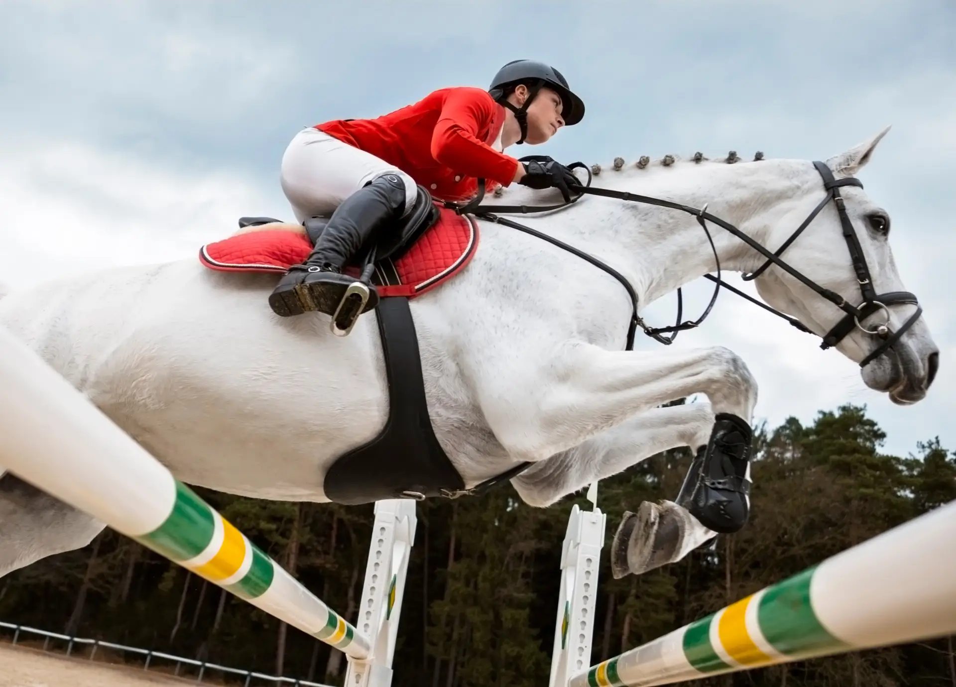 The Silent Language Between Rider and Horse: How True Connection Shapes Performance in Spring Competitions