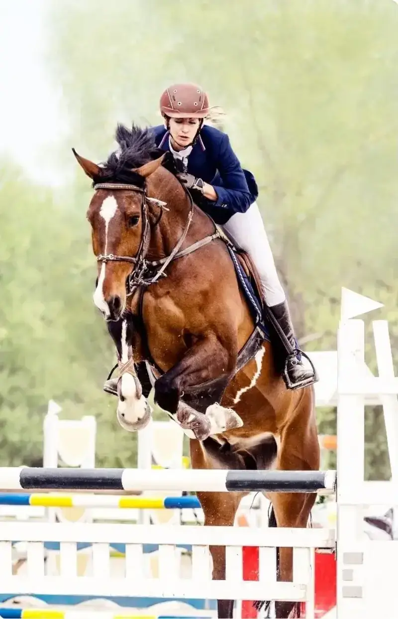 A female rider in a navy blazer and brown helmet leans forward as her bay horse jumps over a white and black striped hurdle at an outdoor arena.