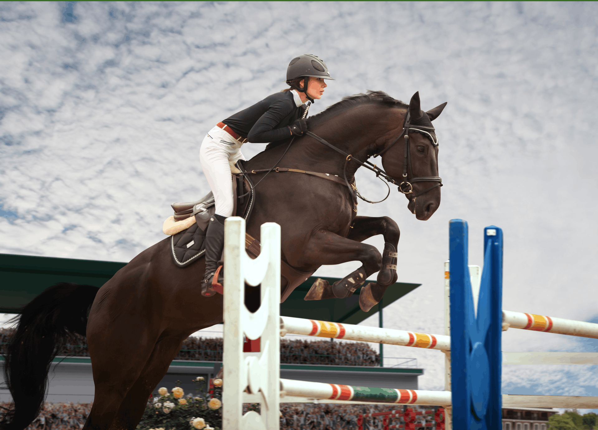 The First Mistake: Why It Defines the Whole Performance in Equestrian Sport